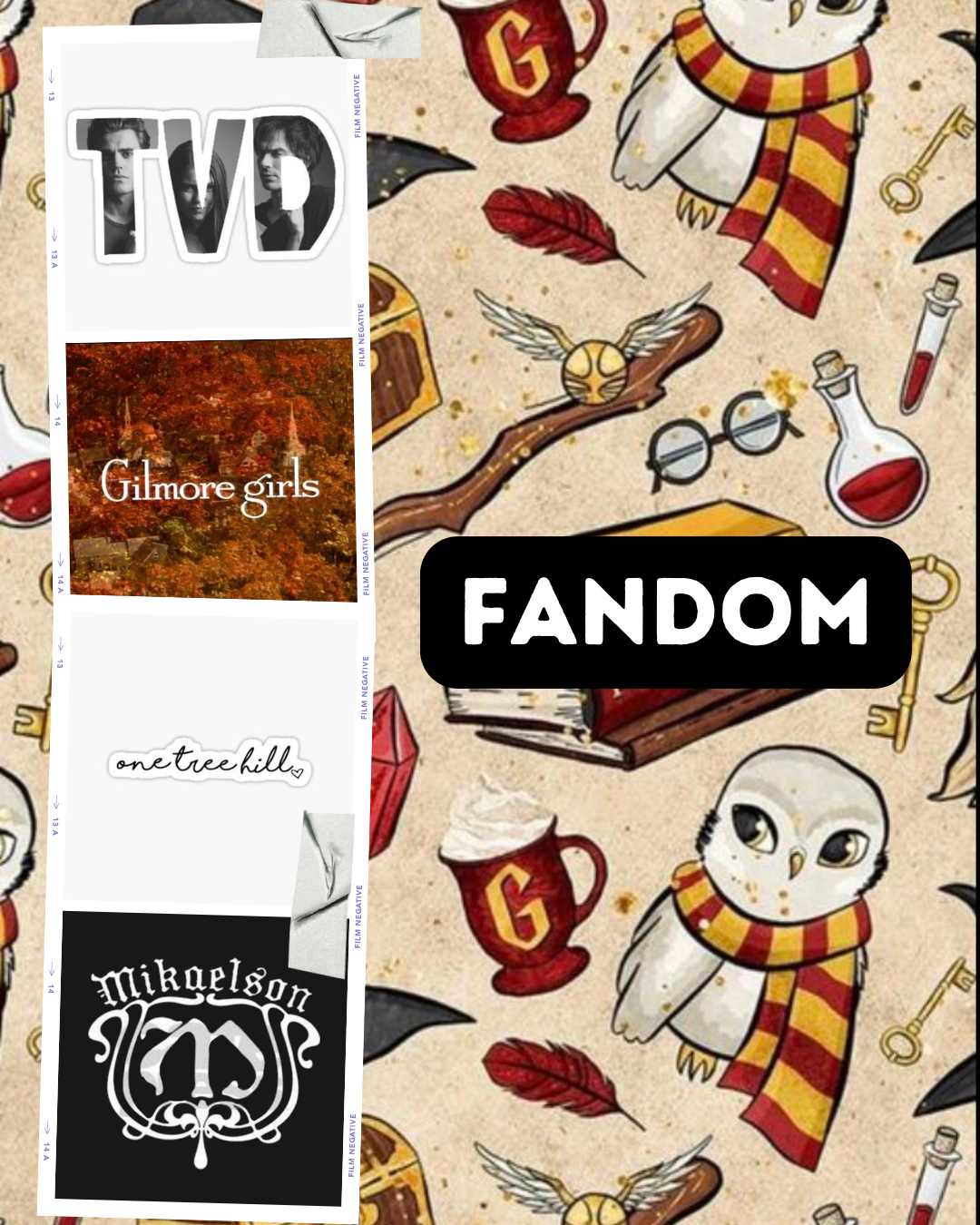 🧛‍♂️🖤✨📚 Fandom 📚✨🖤🧛‍♂️