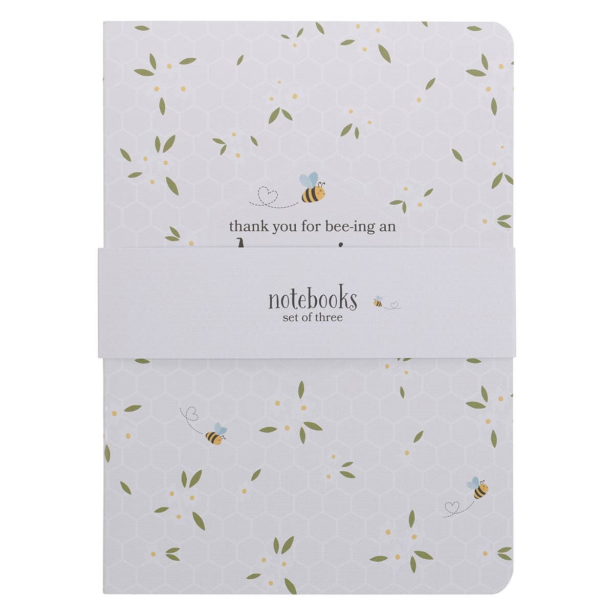 Notebook Set 3pc Amazing Teacher