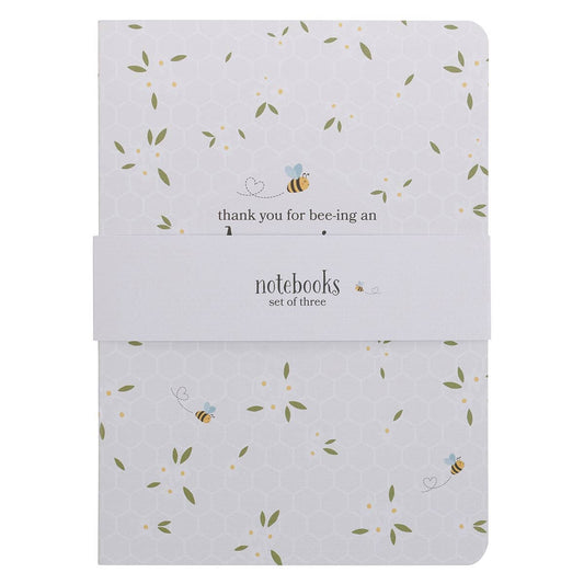 Notebook Set 3pc Amazing Teacher